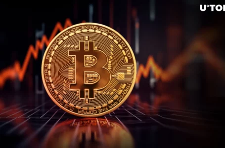 Bitcoin Price Rally Coming? BTC Forming Inverse Head and Shoulders Pattern
