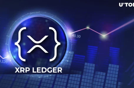 XRP Ledger (XRPL) Welcomes New AMM Pools in Epic DEX Showdown
