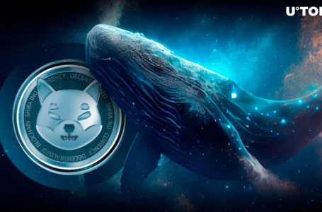 Shiba Inu Whales Send 1.4 Trillion SHIB Tokens to Major Exchange