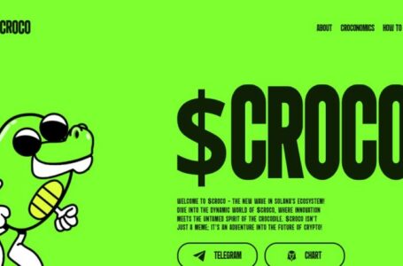 Croco Review: All To Know About