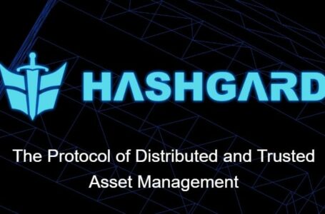 Hashgard (GARD) Coin Review: A Cryptocurrency And Operates on The Ethereum Platform