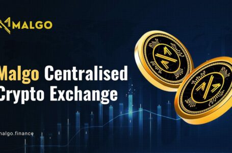 Malgo Finance Coin Review: All To Know About