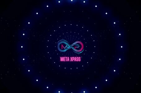 MetaXPass Coin Review: All To Know About