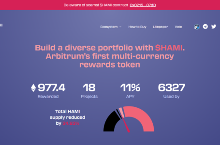 Hamachi Finance Coin Review: All To Know About
