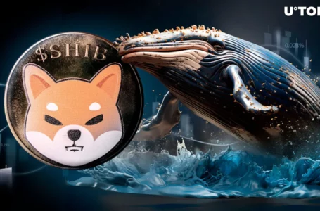 12,000 Shiba Inu Whale-Tier Transactions out of Nowhere: What’s Happening?