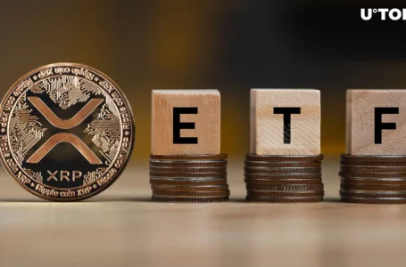 XRP Nets $1.5 Million in Fund Flows Amid ETF Boom