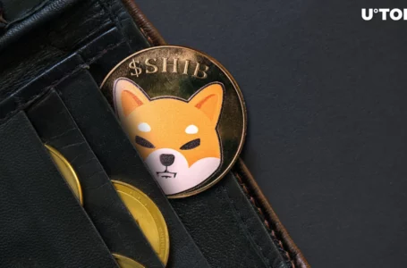 382 Billion SHIB Mysteriously Relocated as Shiba Inu Price on Edge