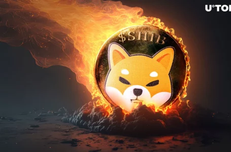 Shiba Inu Surges 6,478% as Burn Rate Explodes in Epic Week: Details