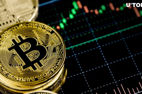 3 Lessons Learned From Recent Bitcoin (BTC) Price Volatility