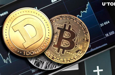 Dogecoin (DOGE) Creator Reveals Bitcoin Price and Altcoins Correlation
