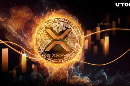 XRP Burn Mechanism Eyes Abnormal Spike Amid XRP Price Rally