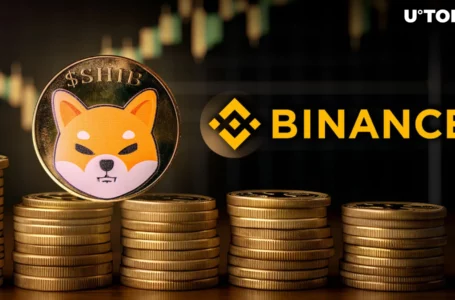Shiba Inu Rockets to Second Place on Binance Amid Explosive SHIB Price Pump