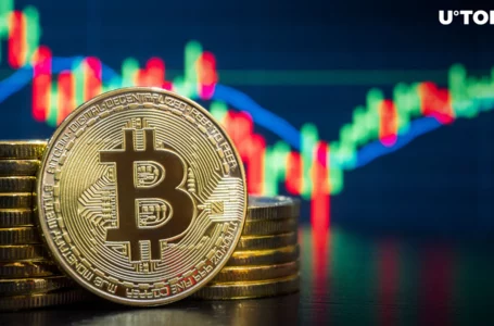 Bitcoin’s Daily Candle Closes at All-Time High