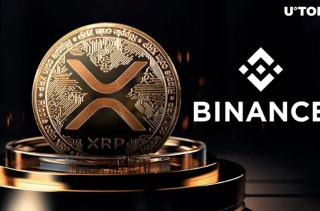 Mysterious XRP Shift From Binance Continues in 18 Million XRP Stashes