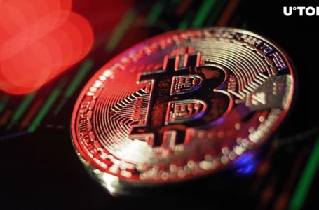 Investor Names Key Reason Behind Bitcoin (BTC) Crash