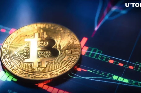 Is Bitcoin Heading for Dip? Top Analyst Predicts BTC Price Correction