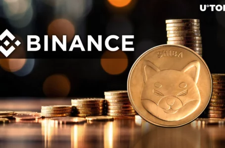 Binance and 900 Billion Shiba Inu (SHIB): What’s Happening?