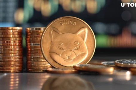 Shiba Inu Faces Dilemma at 81 Trillion SHIB Level as Price Dips 29%