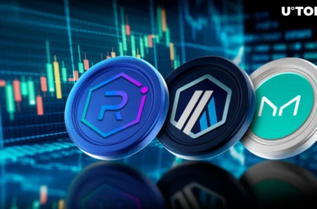 Meme Coin Rally Pushes Raydium on Solana Above Arbitrum, Maker and Others
