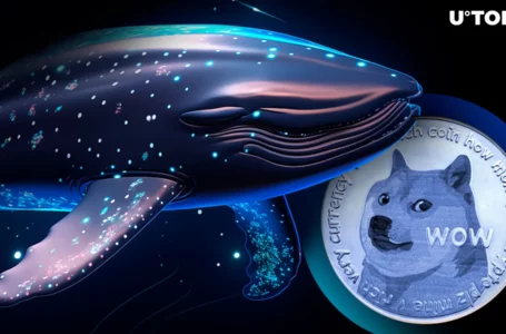Dogecoin (DOGE) 96% Whale Volume Boost Hints Something Big Is Coming