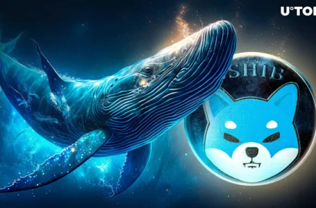 Mysterious Shiba Inu Whale Adds $8.6 Million in SHIB to Portfolio Amid Price Dip