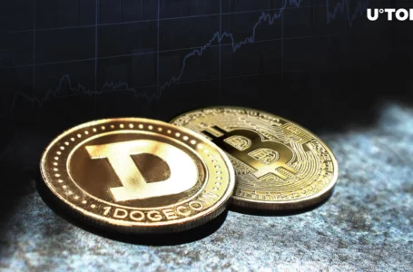 Dogecoin Co-Founder Makes Unexpected Bitcoin Statement