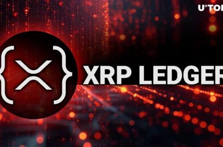 XRP Ledger’s AMM Pools Face Tech Issue