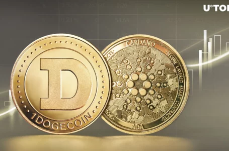 Dogecoin Surpasses Cardano by Market Cap Yet Again