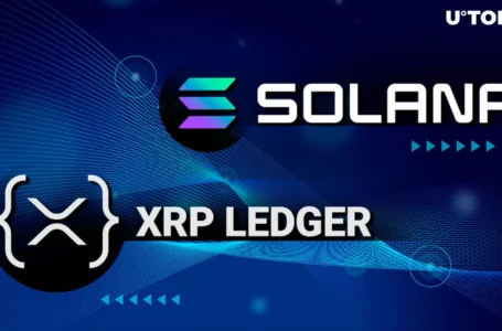 Lead XRPL NFT Creator Explains Why Solana Is Better Than XRP Ledger