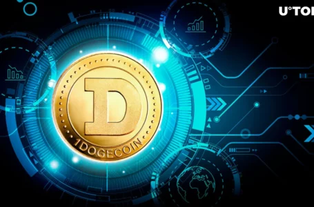 Dogecoin (DOGE) Is ‘Meme Blue Chip’: Here’s Why and What It Means