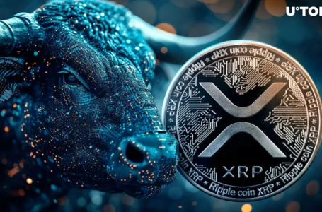 XRP: Extremely Rare Bullish Cross Occurs