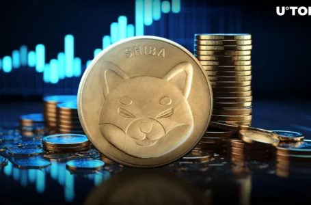 Shiba Inu (SHIB) Could See Major Price Surge: Trader