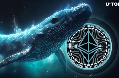 Ethereum Whale Swallows 13,500 ETH on Major Crypto Exchange