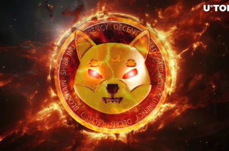 Shiba Inu (SHIB) Torches 110 Million Tokens as Burn Rate Shoots up 2,355%