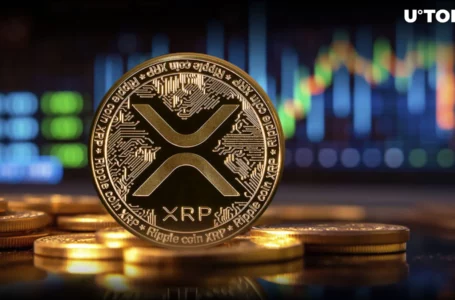 XRP Skyrockets 80% in Volume Amid $400 Million Crypto Bloodbath