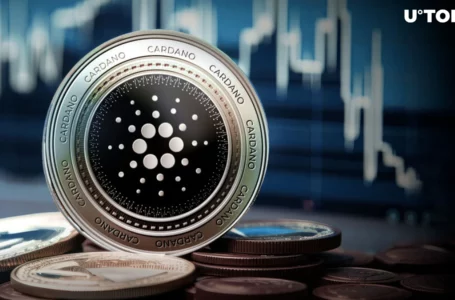 Cardano Loses Key Support Level: What’s Next for ADA Price?