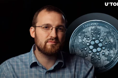 It’s ‘Weird’ Not to Hold Cardano (ADA), Says Charles Hoskinson