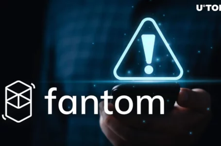Fantom (FTM) Community Ecstatic at Incoming Meme Coin Era