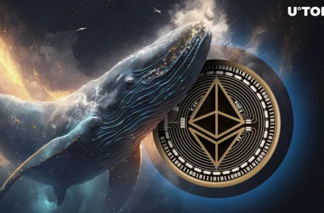 Ethereum (ETH) Skyrockets in Massive Whale Transactions Amid Price Recovery