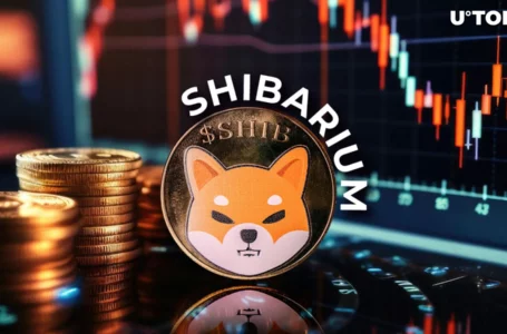 Shiba Inu’s Shibarium Eyes 97% Decrease in Key On-Chain Metric: What Happened?