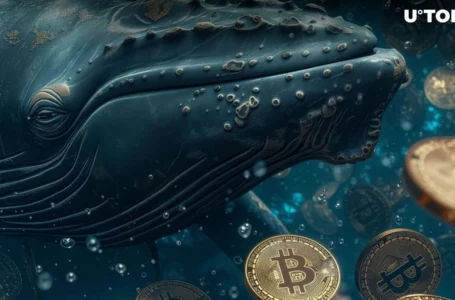 Mysterious Whale Unloads $322 Million in Bitcoin on Major US Exchange