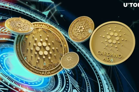 Cardano New Releases Herald Major Network Upgrade for Ecosystem