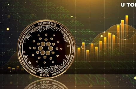 Cardano Adds $1.7 Billion to Market Cap as ADA Price Recovers