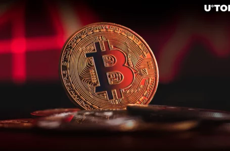 Bitcoin Price Alert: Historical Trends Spell Trouble for BTC as Halving Looms