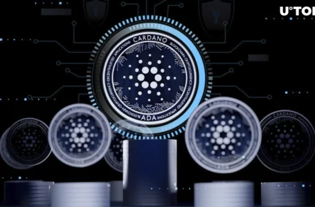 Three Unique Cardano Features Live Now: Here’s What You Missed