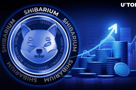 Shiba Inu’s Shibarium Skyrockets to Nearly 1 Million Transactions in Record Spike