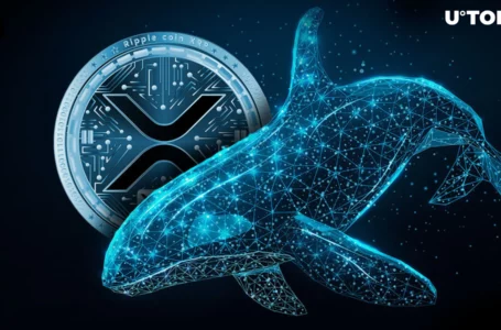 33.33 Million XRP Mysteriously Departs Major Exchange for Enigmatic Whale