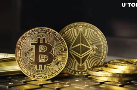 Ethereum and Bitcoin Investors Are Destroyed, But It Could Be Positive
