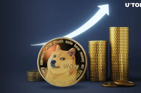 Dogecoin (DOGE) Price Might Achieve All-Time High After Supply Block Resolution