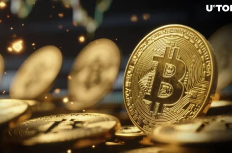 Bitcoin to Surpass $300,000 in 2025: Plan B Analyst